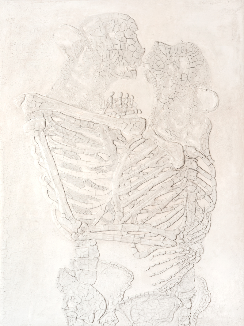A drawing of a skeleton with no visible ribs.