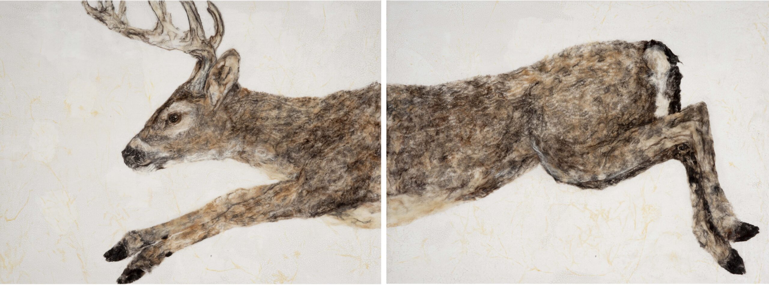 Two pictures of a cat 's fur and its tail.