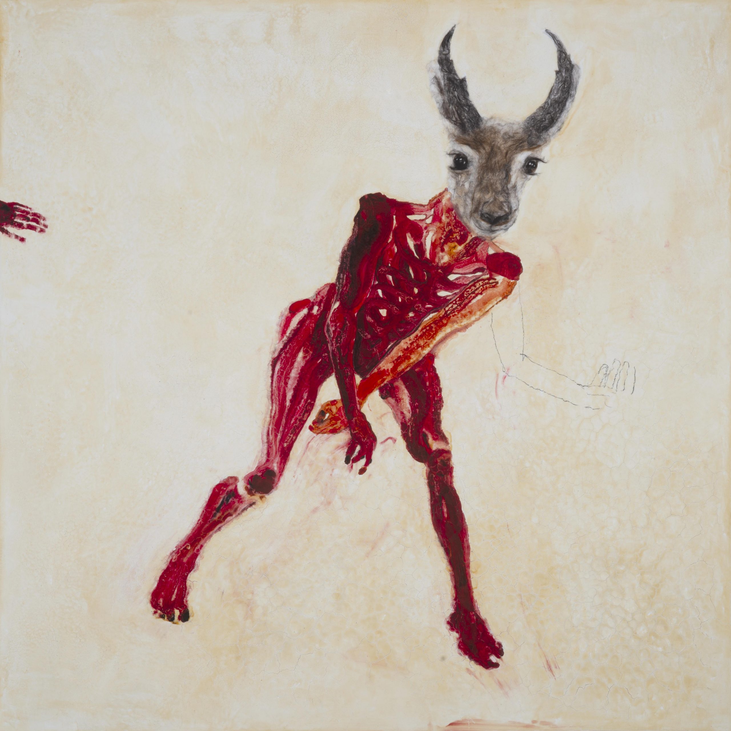 A painting of a red deer with horns
