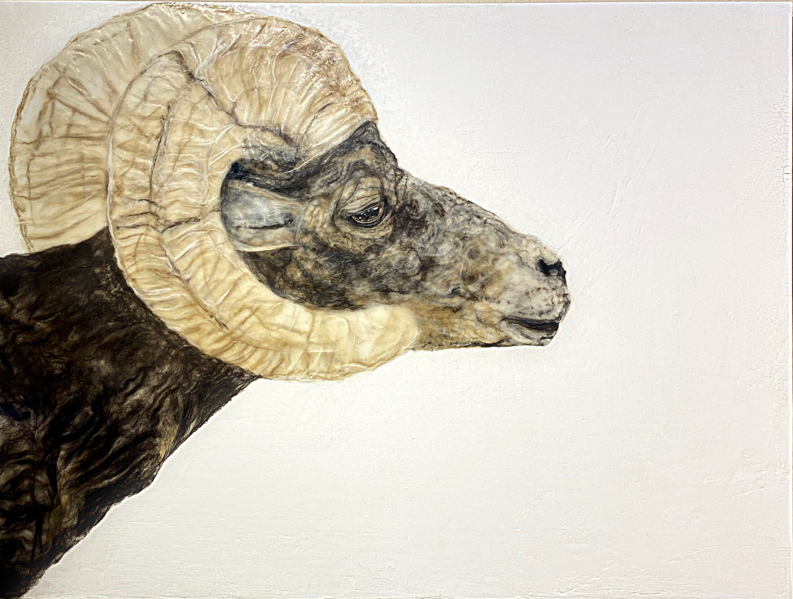 A ram with long horns is looking up.