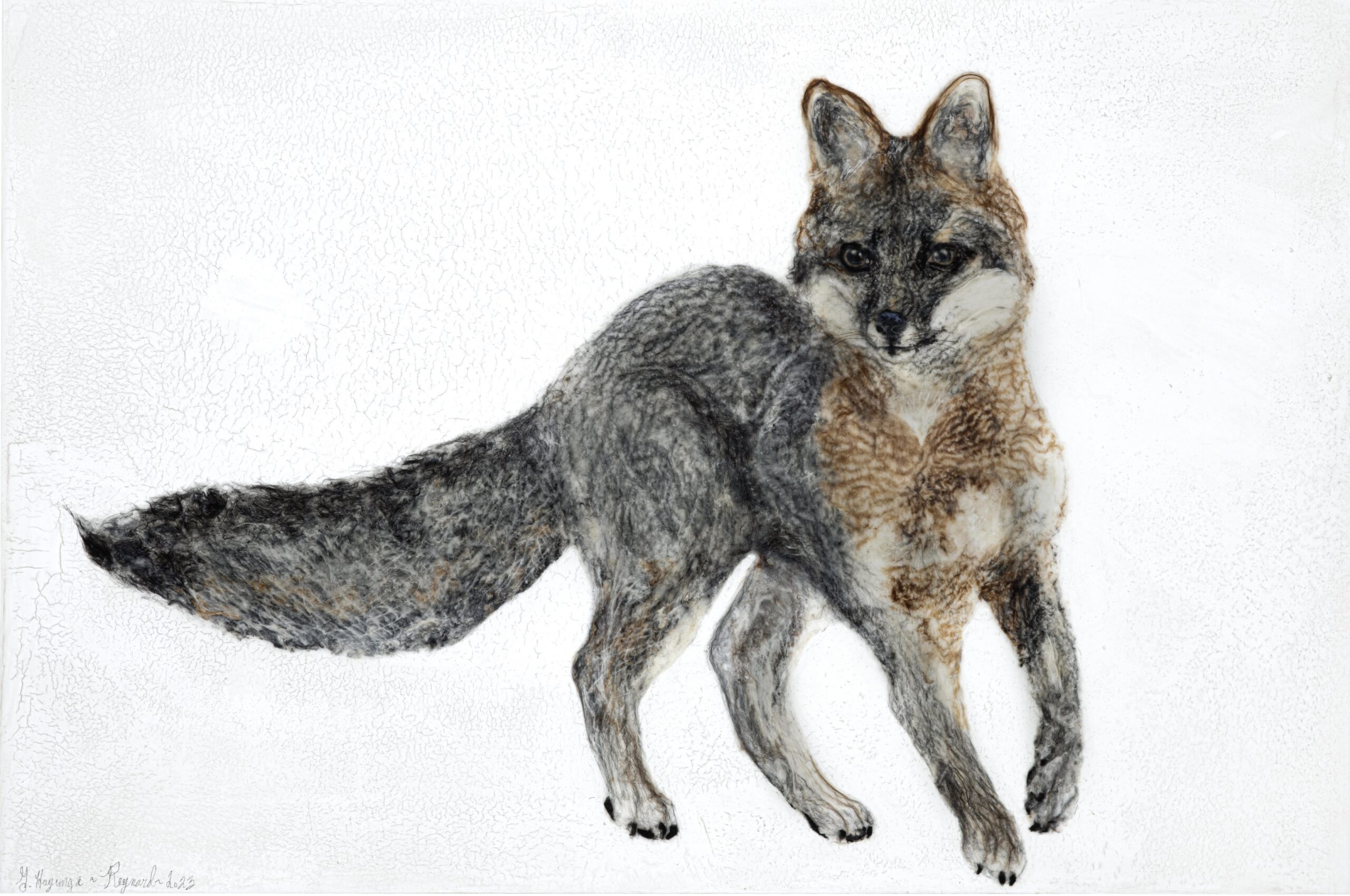 A gray and brown fox standing on top of snow covered ground.