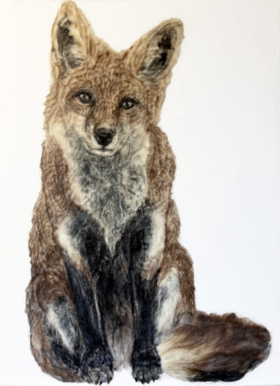 A stuffed fox sitting upright against a white background.