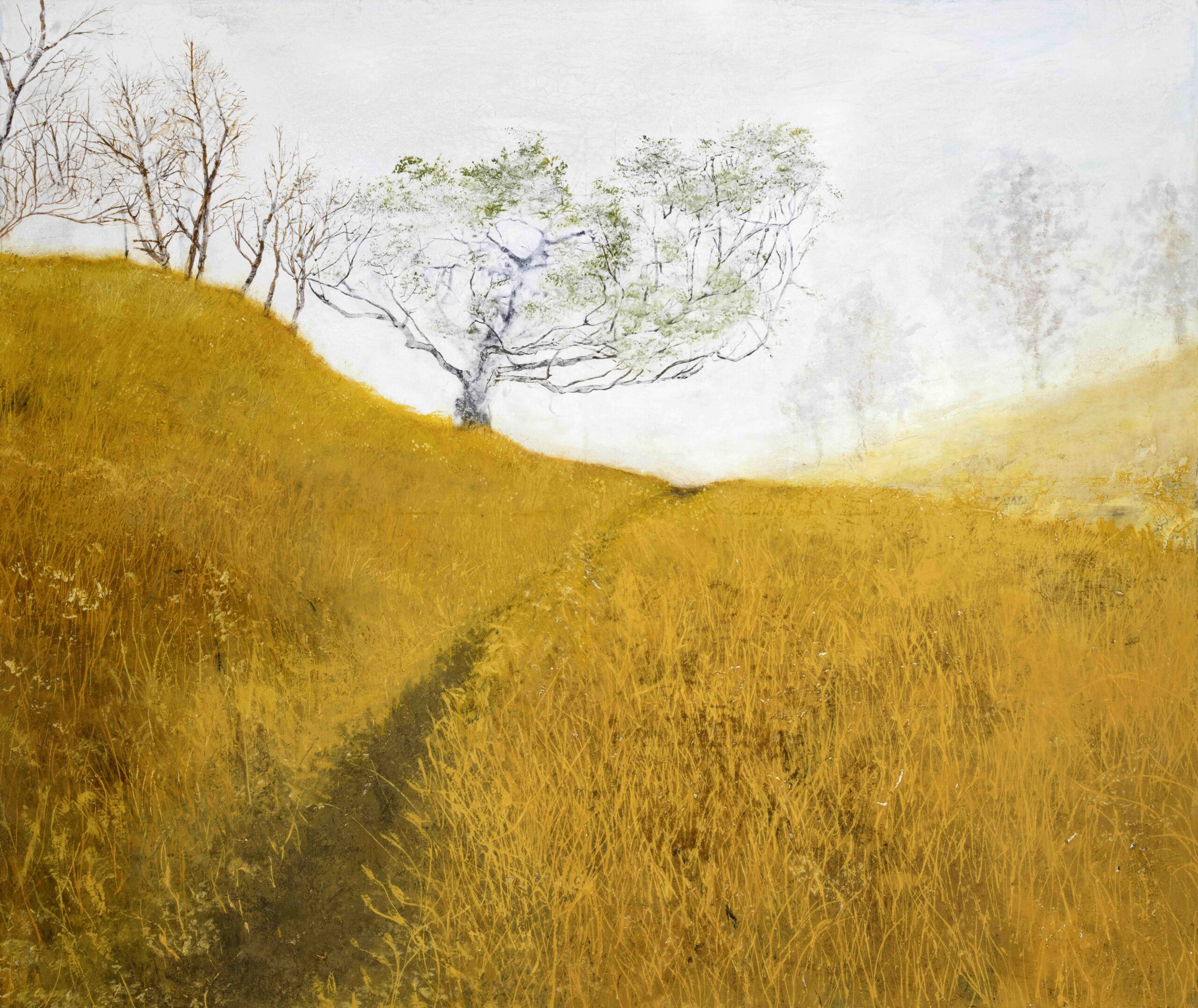 Meadowlark