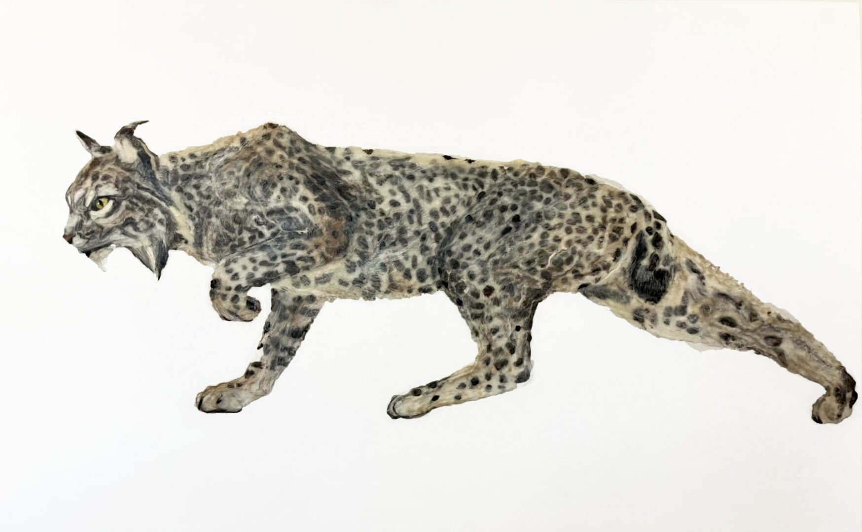 Master Painter Grant Hayunga's Wildcat